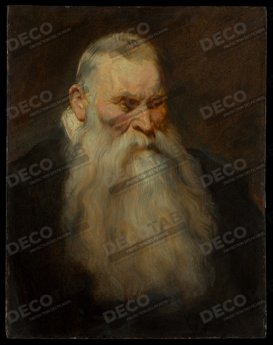 Reproduction Tête d'étude d'un vieil homme à barbe blanche de Anthony van Dyck