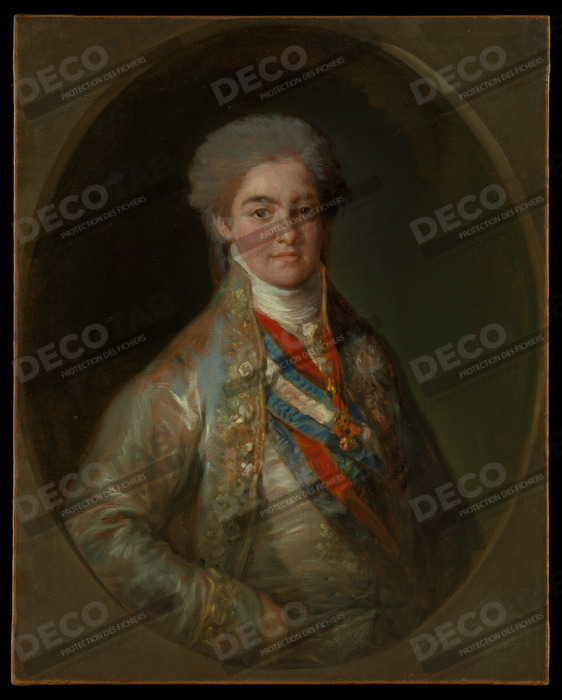 Reproduction Ferdinand VII (1784-1833), quand le prince des Asturies de Goya