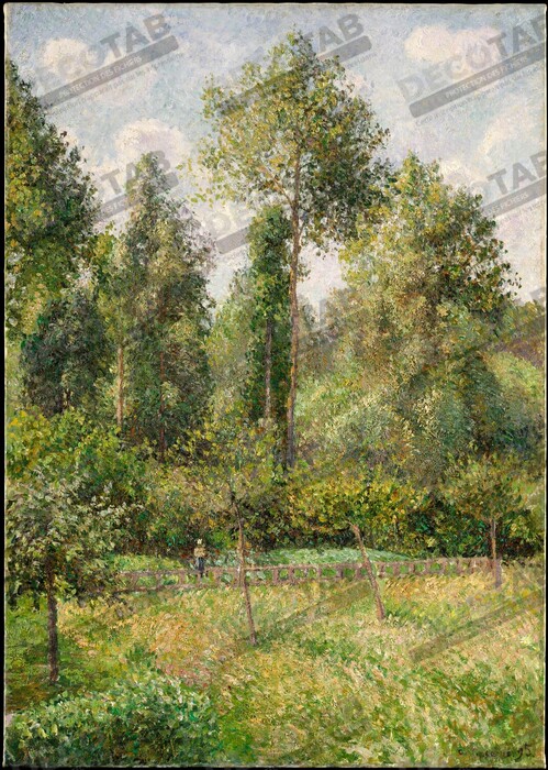 Reproduction Peupliers, Éragny de Camille Pissarro