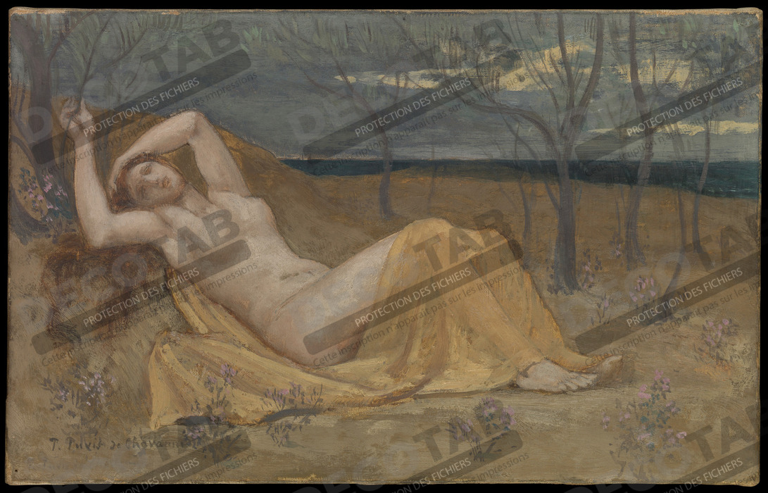 Reproduction Tamaris de Pierre Puvis de Chavannes