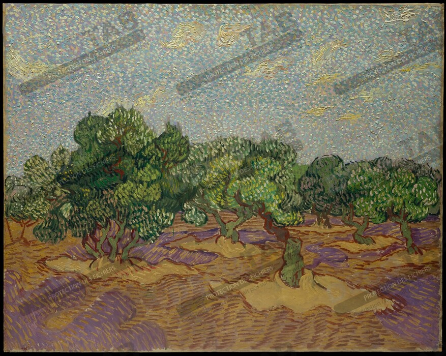 Reproduction Olivier de Vincent van Gogh