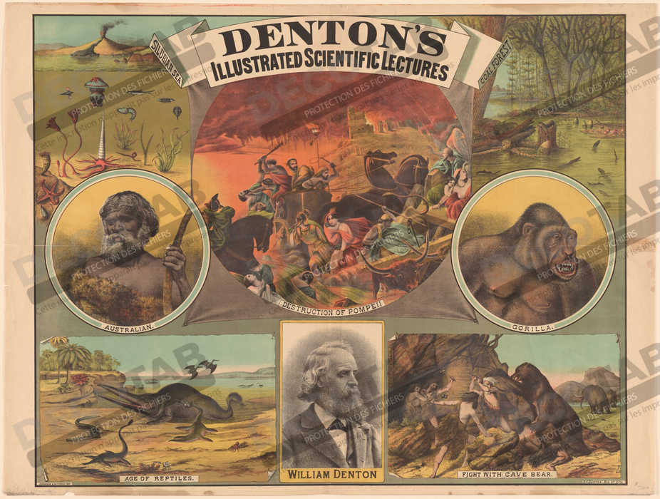 Reproduction Guillaume Denton de S. F. Denton