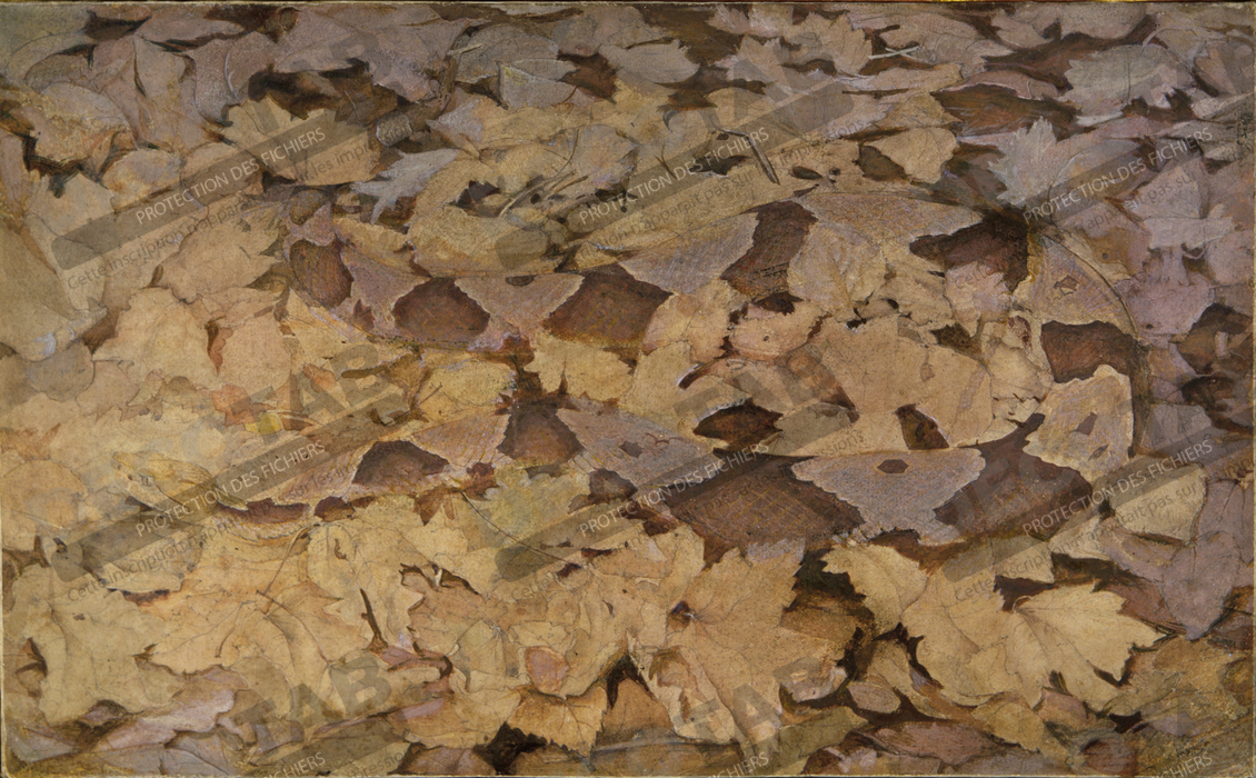 Reproduction Copperhead Snake on Dead Leaves, étude pour le livre Concealing Coloration in the Animal Kingdom de Abbott Handerson Thayer, born Boston, MA 1849-died Dublin, NH 1921