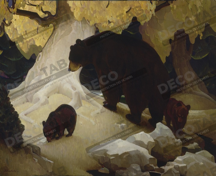 Reproduction Chute dans les contreforts de W. Herbert Dunton, born Augusta, ME 1878-died Taos, NM 1936