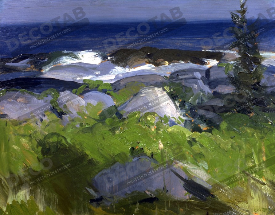 Reproduction Rivage recouvert de vigne - île de Monhegan de George Bellows, born Columbus, OH 1882-died New York City 1925