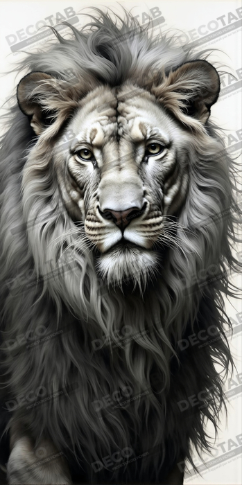 Tableau lion sur fond blanc - Photo d'art décorative