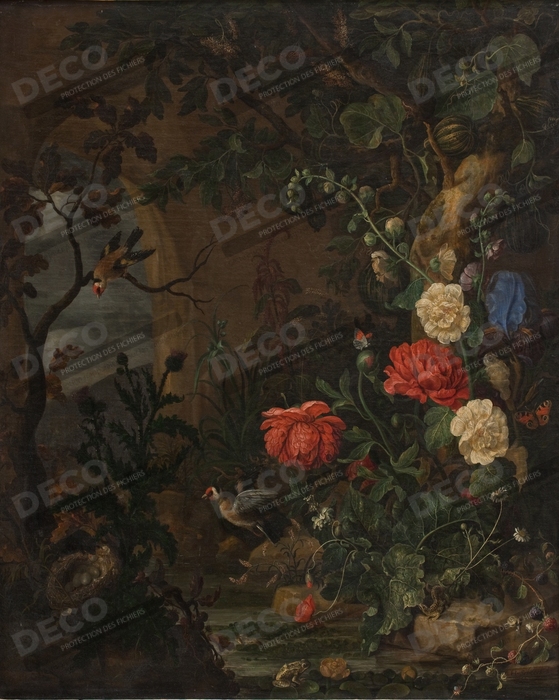 Reproduction Fleurs de Schoock, Hendrik