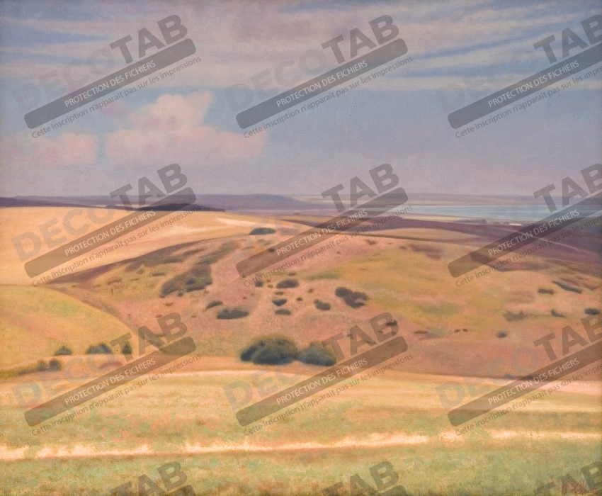 Reproduction Larges vues. Mols de Godtfredsen, Charles