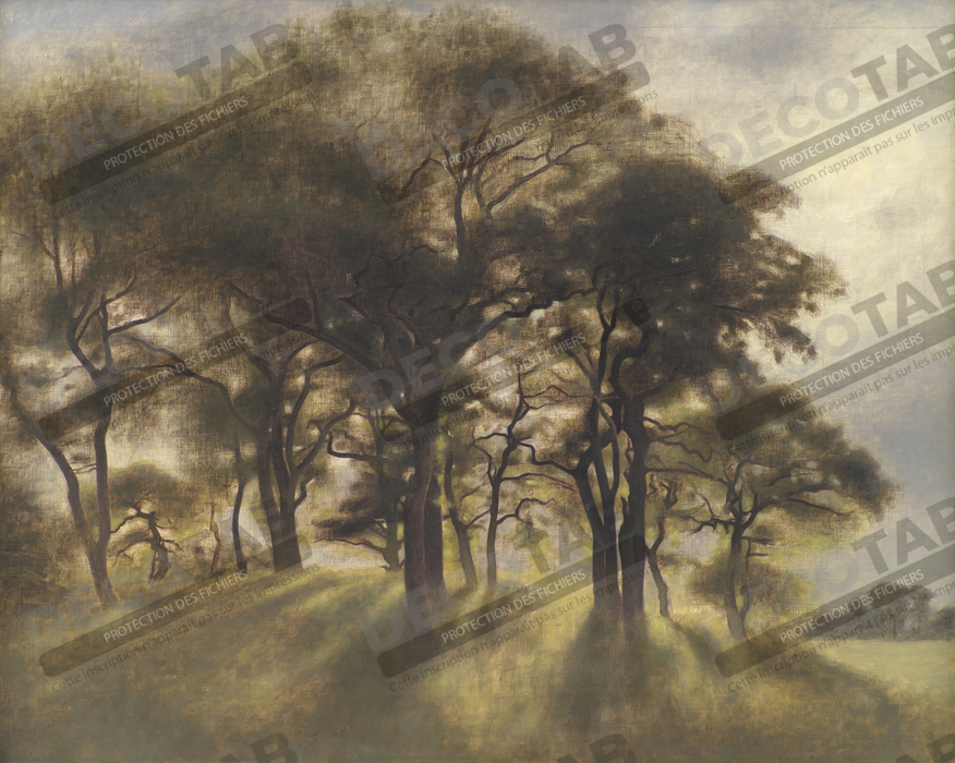 Reproduction Near Fortunen, Jægersborg Deer Park, North of Copenhagen de Hammershøi, Vilhelm