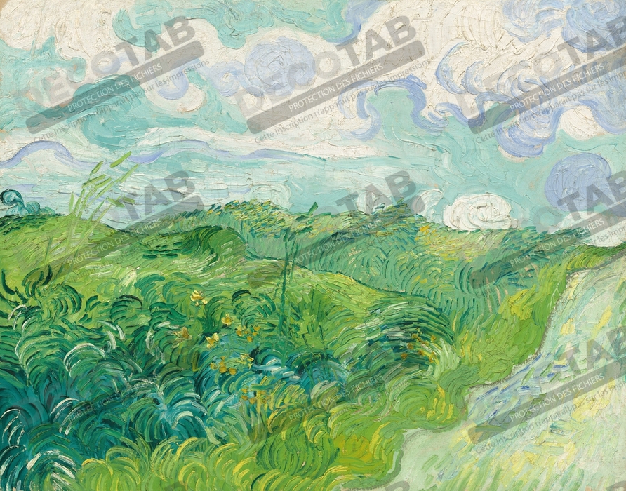 Reproduction Van Gogh : Champs de blé verts, Auvers 