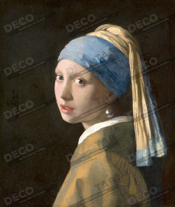 Reproduction Vermeer : La Jeune Fille à la Perle